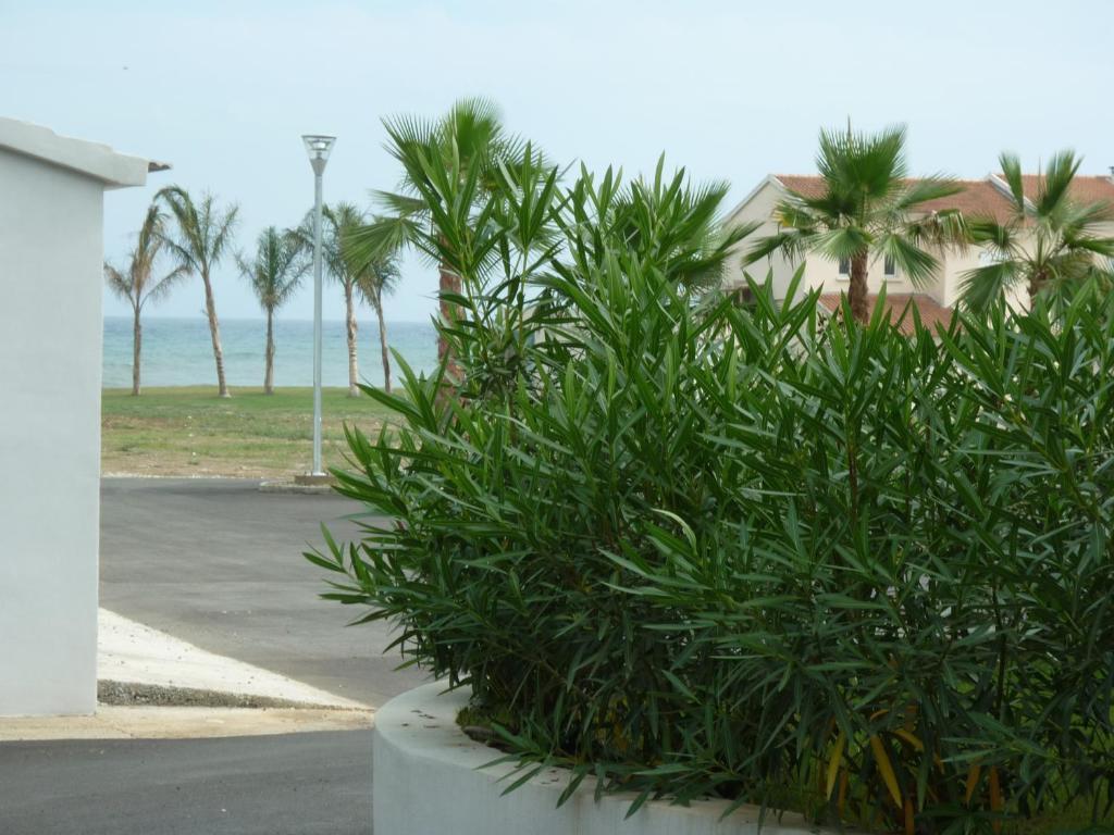 Residence Marea Resort Santa-Lucia-di-Moriani Εξωτερικό φωτογραφία