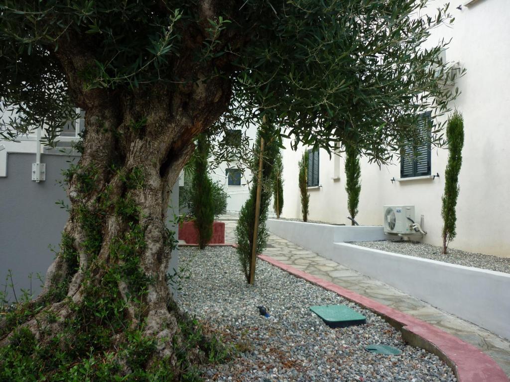 Residence Marea Resort Santa-Lucia-di-Moriani Εξωτερικό φωτογραφία
